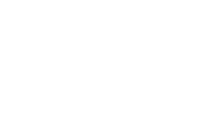 Nikon logo image